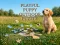 Jwèt Playful Puppy Outdoor Puzzle sou entènèt