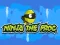 Jwèt Ninja the Frog sou entènèt