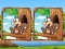 Jwèt Jungle 5 Diffs sou entènèt