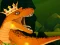 Jwèt The Dino King sou entènèt