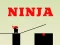 Jwèt Ninja go sou entènèt