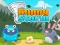 Jwèt Bunny Storm sou entènèt
