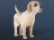 Jwèt IDLE Pet sou entènèt