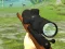 Jwèt Hunter 3D sou entènèt