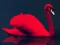 Jwèt Love Birds Puzzle sou entènèt