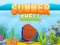 Jwèt Summer Shell sou entènèt