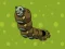 Jwèt Zombie Worms sou entènèt