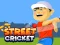 Jwèt Street Cricket sou entènèt