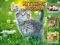 Jwèt Kittens Jigsaw sou entènèt