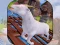Jwèt Angry Goat Wild Animal Rampage sou entènèt