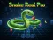 Jwèt Snake Real Pro sou entènèt