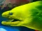 Jwèt Underwater World Jigsaw sou entènèt