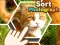 Jwèt Sort Photograph sou entènèt