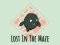 Jwèt Lost In The Maze sou entènèt
