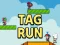 Jwèt Tag Run sou entènèt