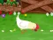Jwèt Stupid Chicken sou entènèt