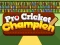 Jwèt Pro Cricket Champion sou entènèt