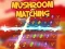 Jwèt Mushroom matching sou entènèt