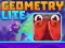 Jwèt Geometry Lite sou entènèt