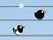Jwèt Gone with the Birds sou entènèt