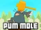 Jwèt Pum-Mole sou entènèt