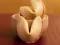Jwèt Fortune Cookies sou entènèt