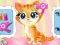Jwèt Pets Beauty Salon sou entènèt