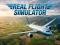 Jwèt Real Flight Simulator sou entènèt