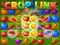 Jwèt Crop Link sou entènèt
