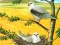 Jwèt Birds Of Prey Puzzle sou entènèt