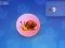 Jwèt Snail Clicker sou entènèt