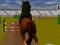 Jwèt Jumping Horse 3d sou entènèt