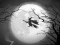 Jwèt The Night Of the Witches Jigsaw sou entènèt