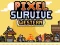 Jwèt Pixel Survive Western sou entènèt