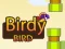 Jwèt Birdy Bird sou entènèt