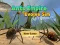 Jwèt Ants Empire Evolve Sim sou entènèt