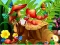 Jwèt Hidden Objects Insects sou entènèt