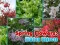 Jwèt Spring Flowers: Hidden Objects sou entènèt
