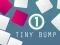 Jwèt Tiny Bump sou entènèt