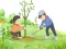 Jwèt Arbor Day Puzzle sou entènèt