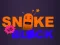 Jwèt Snake vs Blocks sou entènèt