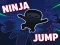 Jwèt Ninja jump sou entènèt