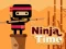 Jwèt Ninja Time sou entènèt