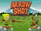 Jwèt Arrow Shoot sou entènèt