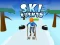 Jwèt Ski Rush 3d sou entènèt