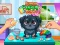 Jwèt Funny Puppy Care sou entènèt