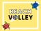 Jwèt Beach Volley sou entènèt