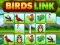 Jwèt Birds Link sou entènèt
