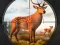 Jwèt Wild Animal Hunting sou entènèt