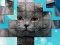 Jwèt PicPu Cat sou entènèt